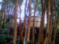 /album/fotogaleria-inicio/dsc02810-jpg/